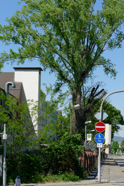 Hospital: Ecke Freiburger Straße/Karlsruher Straße