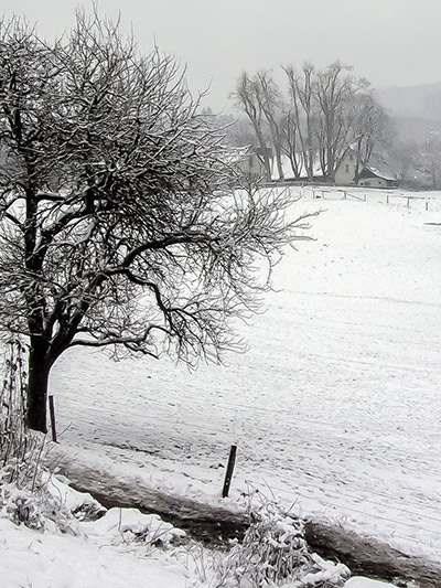 Bierhelderhofwiese im Schnee